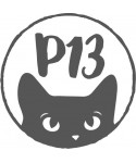 P13